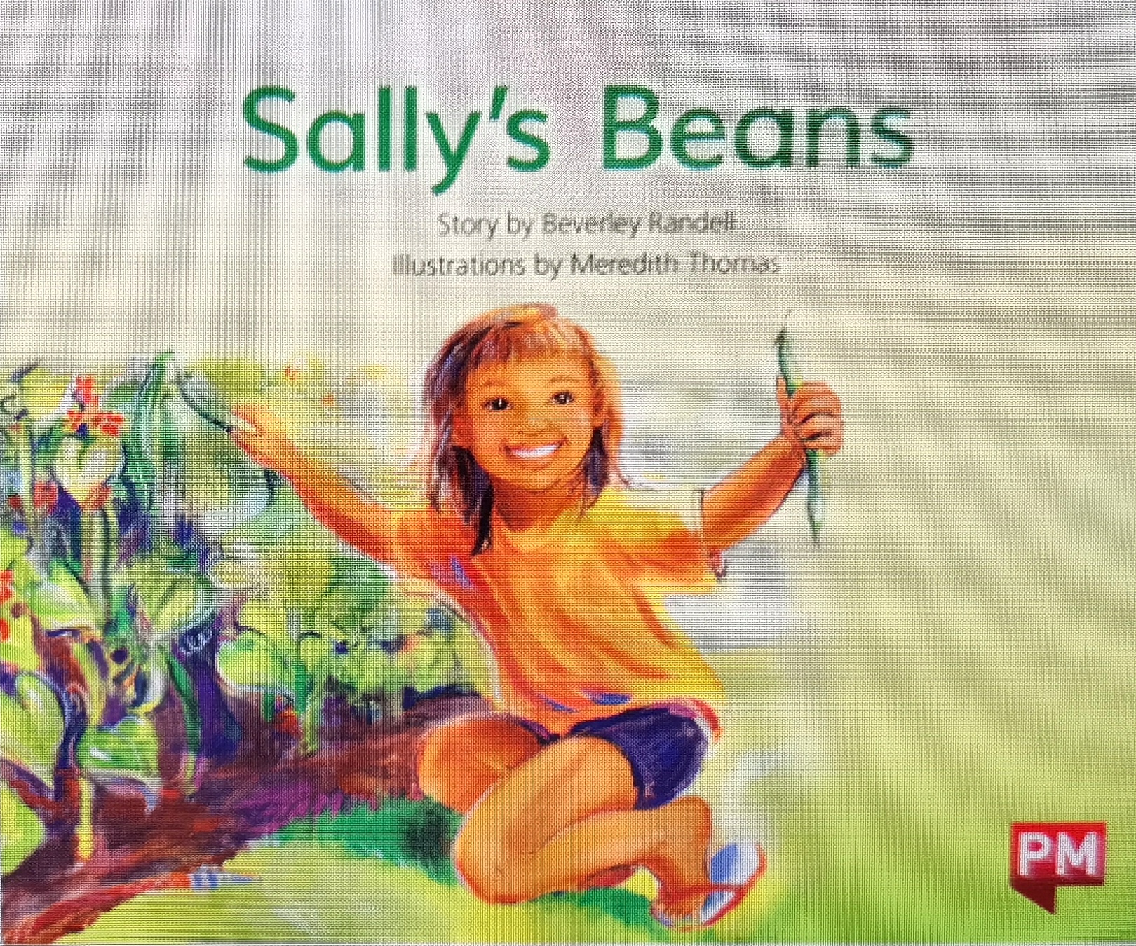 Sally's Beans(PM Yellow A)