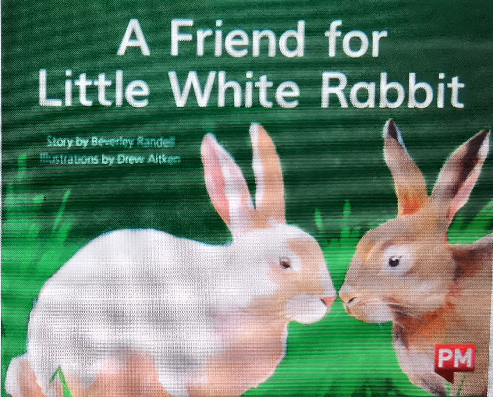 A Friend for Little White Rabbit(PM Yellow Set 3 Level 8)