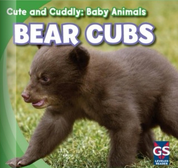 Bear Cubs (Rosen D)