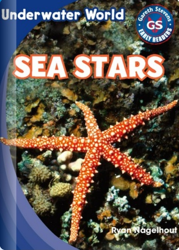 Sea Stars (Rosen E)