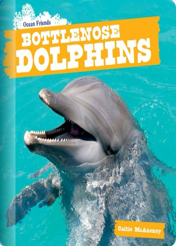 Bottlenose Dolphins (Rosen D)