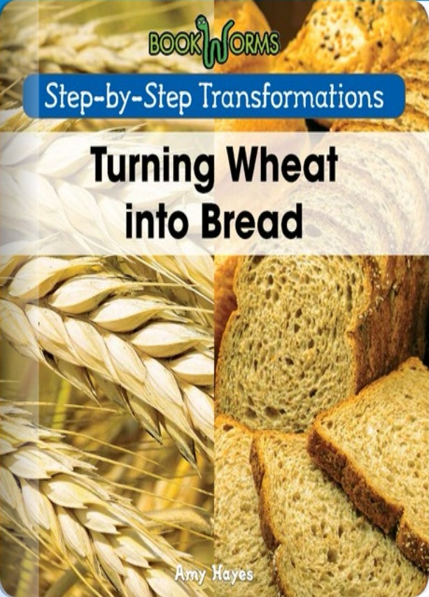 Turning Wheat into Bread (Rosen F)