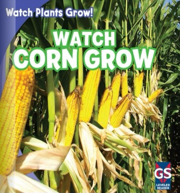 Watch Corn Grow(Rosen C)