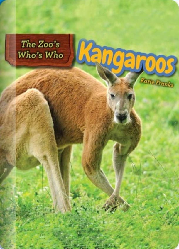 Kangaroos(Rosen G)