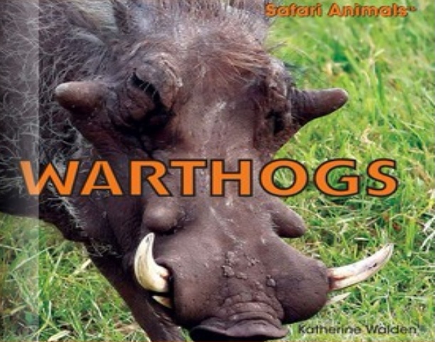 Warthogs(Rosen G)