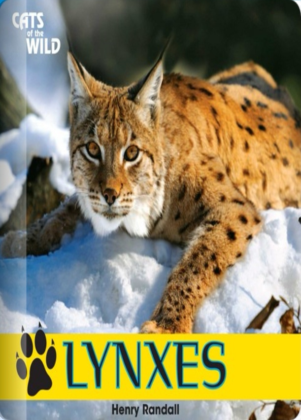 Lynxes (Rosen G)