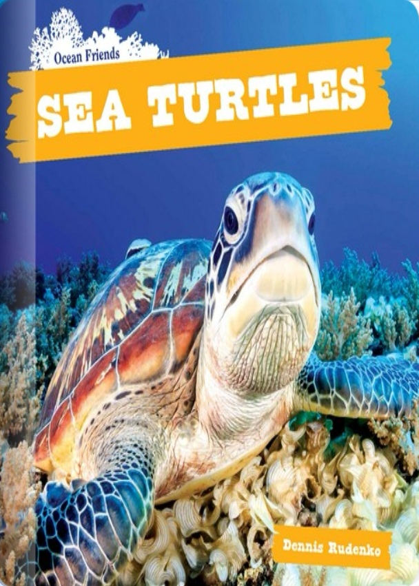 ### Turtles You Can Have as Pets: The Ultimate Guide to Choosing Your Perfect Shell-Bound Companion