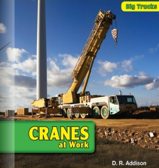 Cranes at Work(Rosen G)