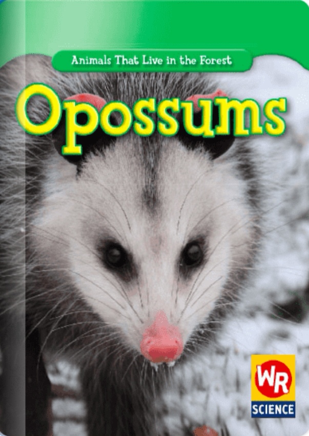 Opossums(Rosen H)