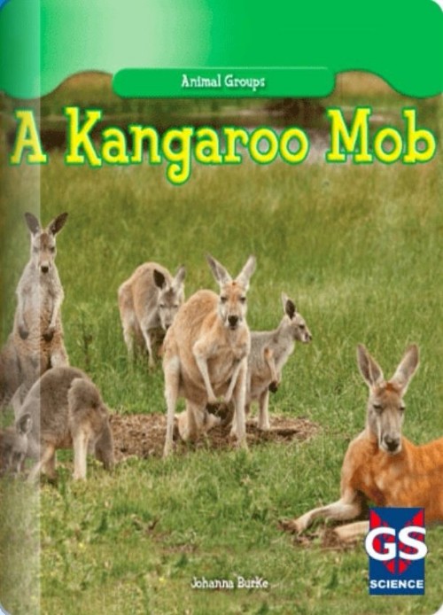 A Kangaroo Mob(Rosen K)