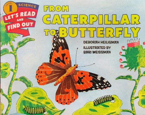 Let's-Read-and-Find-Out Science 1:From Caterpillar to Butterfly