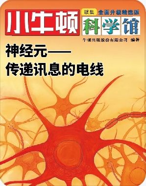 小牛頓科學(xué)館: 神經(jīng)元——傳遞迅息的電線