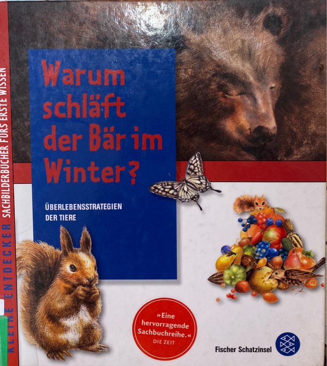 Warum schläft der Bär im Winter?