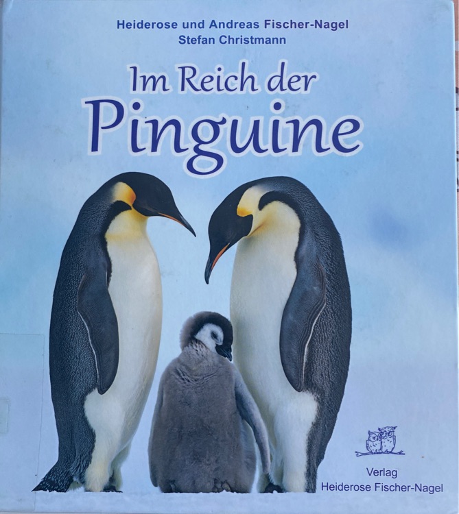 Im Reich der Pinguine