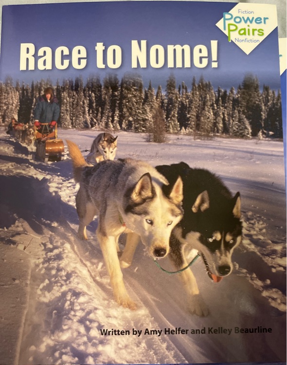 Race to Nome