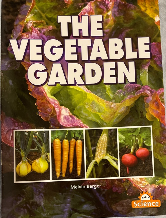 The Vegetable Garden