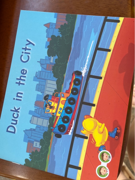 海尼曼b86 Duck in the city