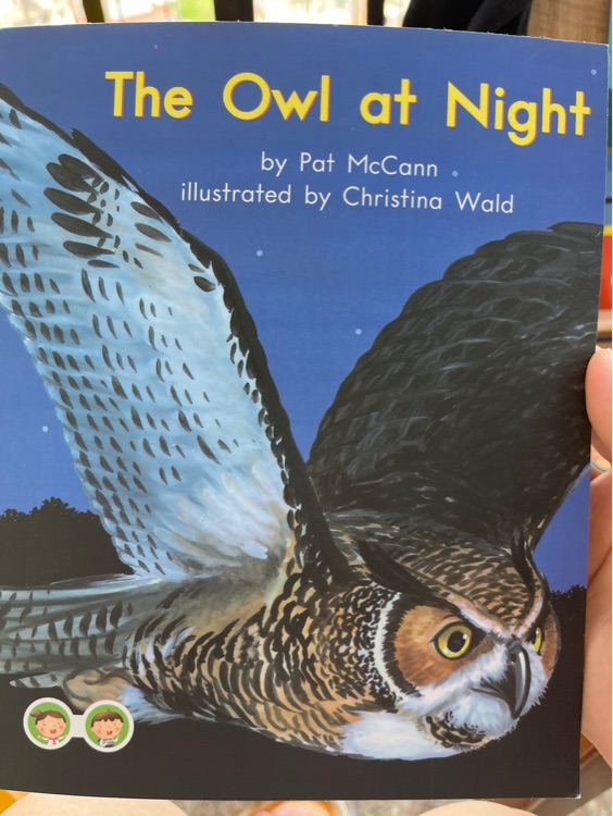 海尼曼d85 The owl at night