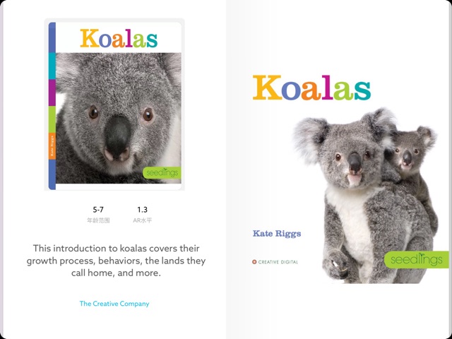 Koalas