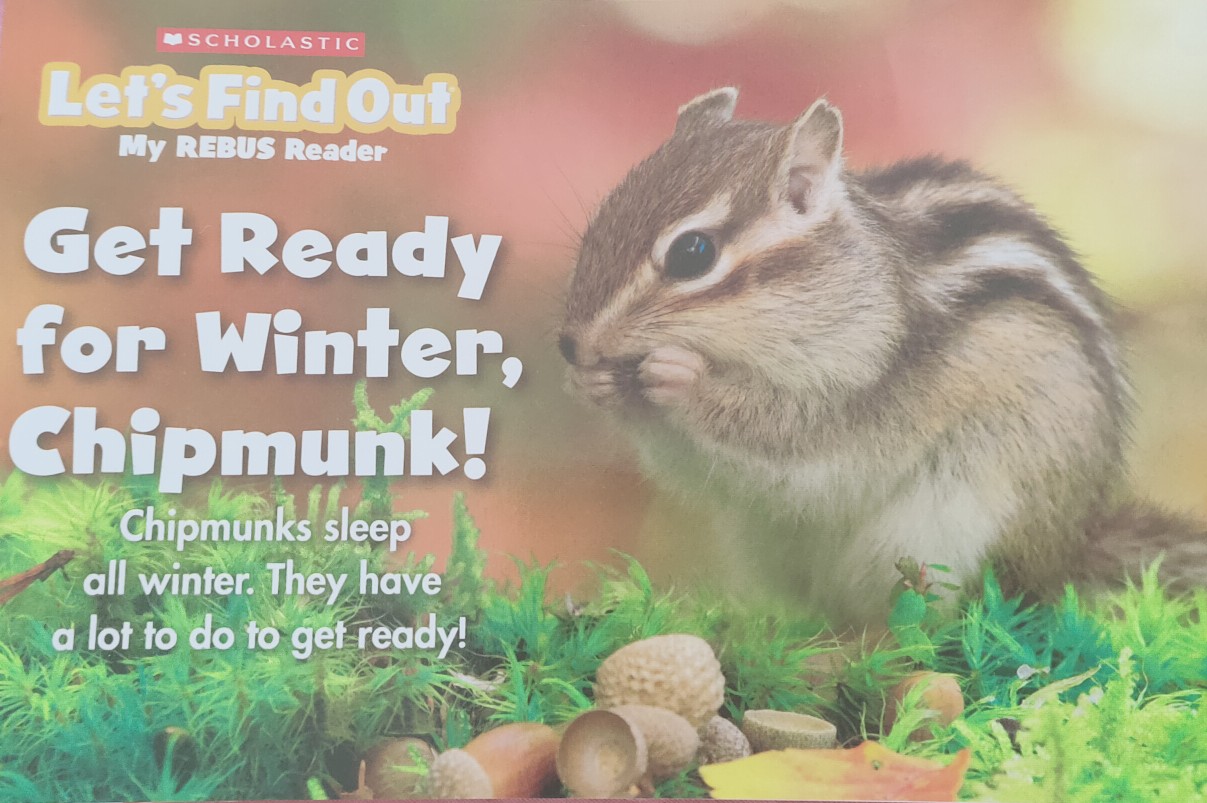 get ready for winter chipmunk