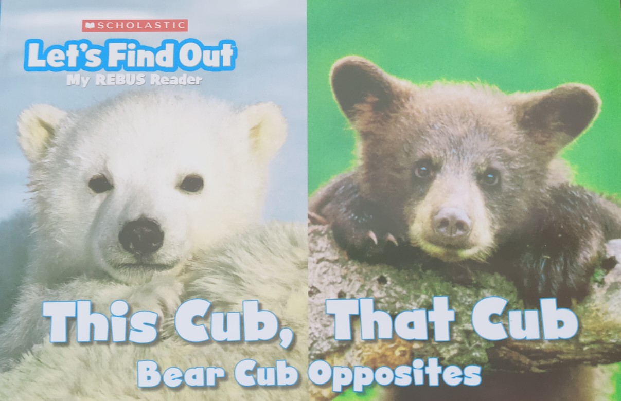 this cub that cub