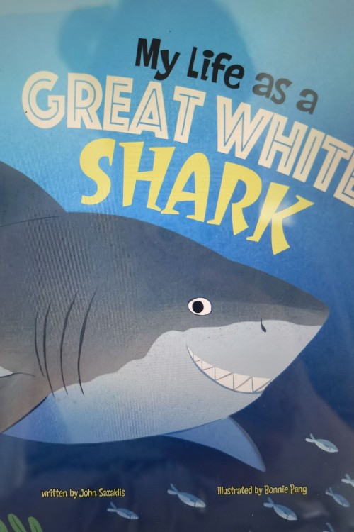 my life as a great white shark