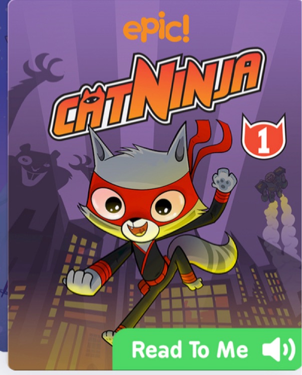 Cat ninja