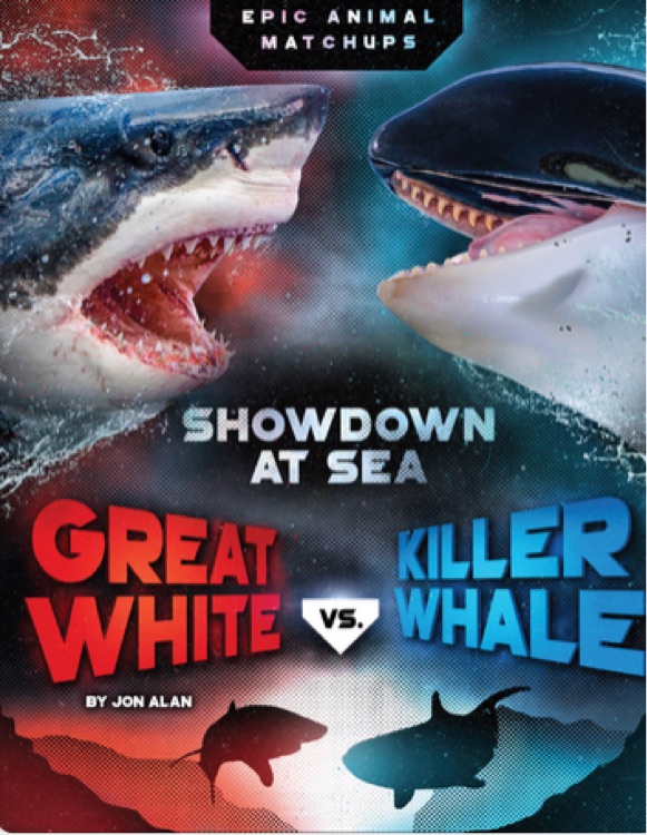 Great white vs killer whale