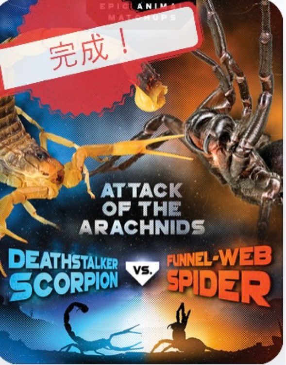 Deathstalker scorpion vs funnel-web spider