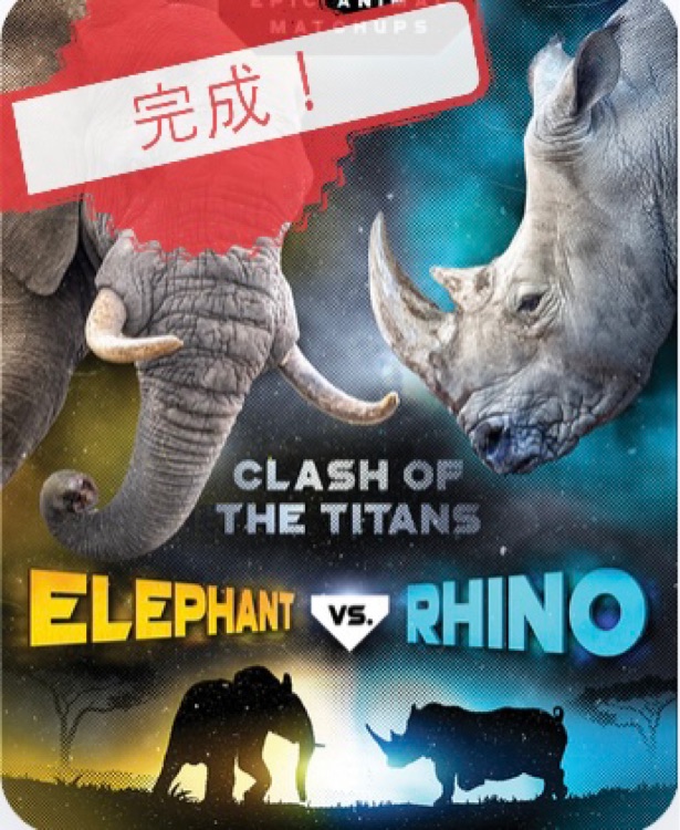 Elephant vs rhino