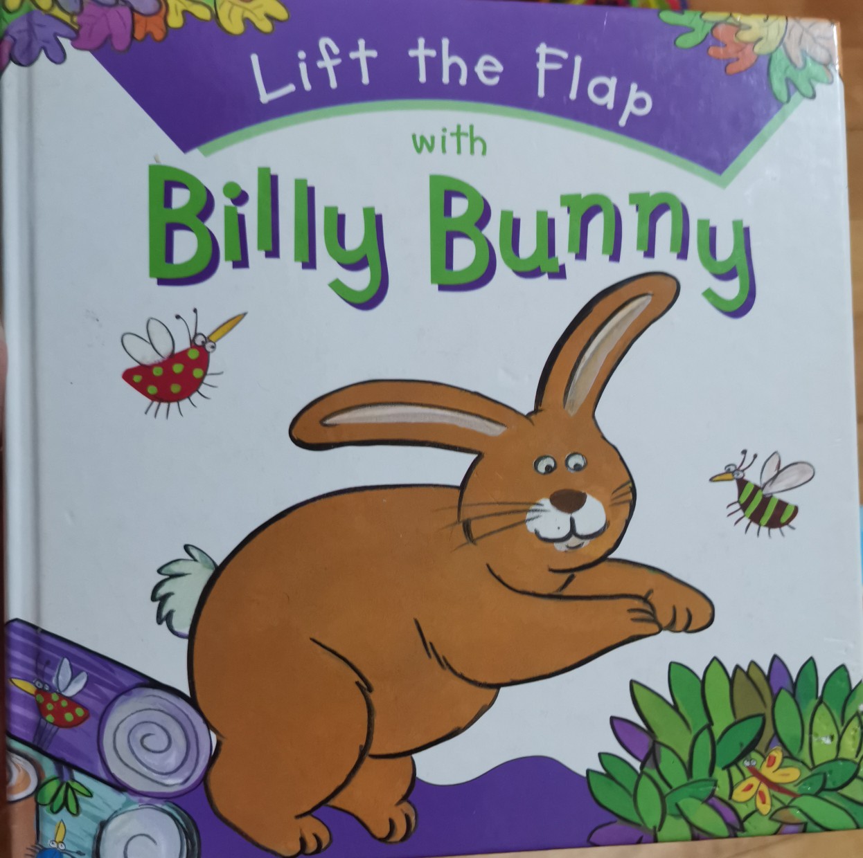 Billy Bunny (Lift the Flap: Hide & Seek)