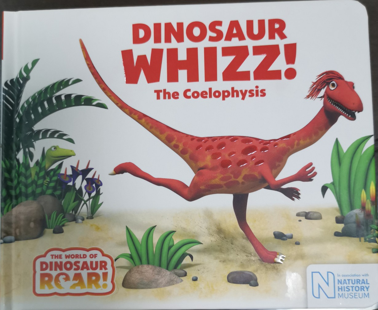 Dinosaur whizz! The coelophysis