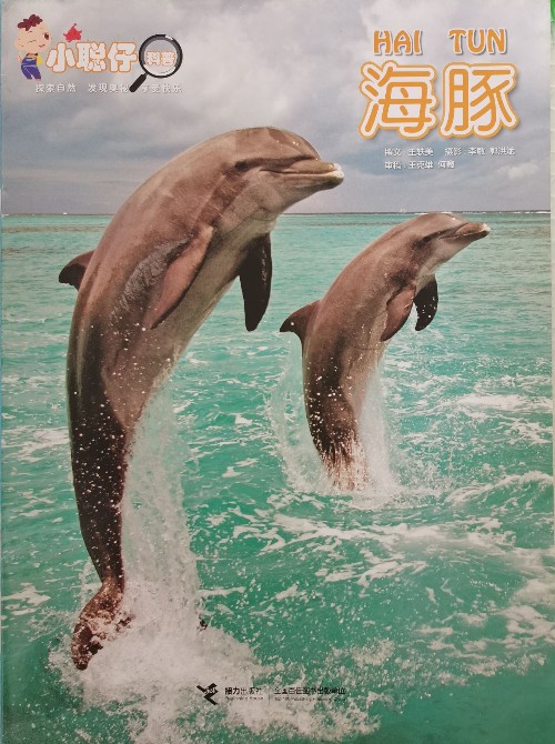 海豚