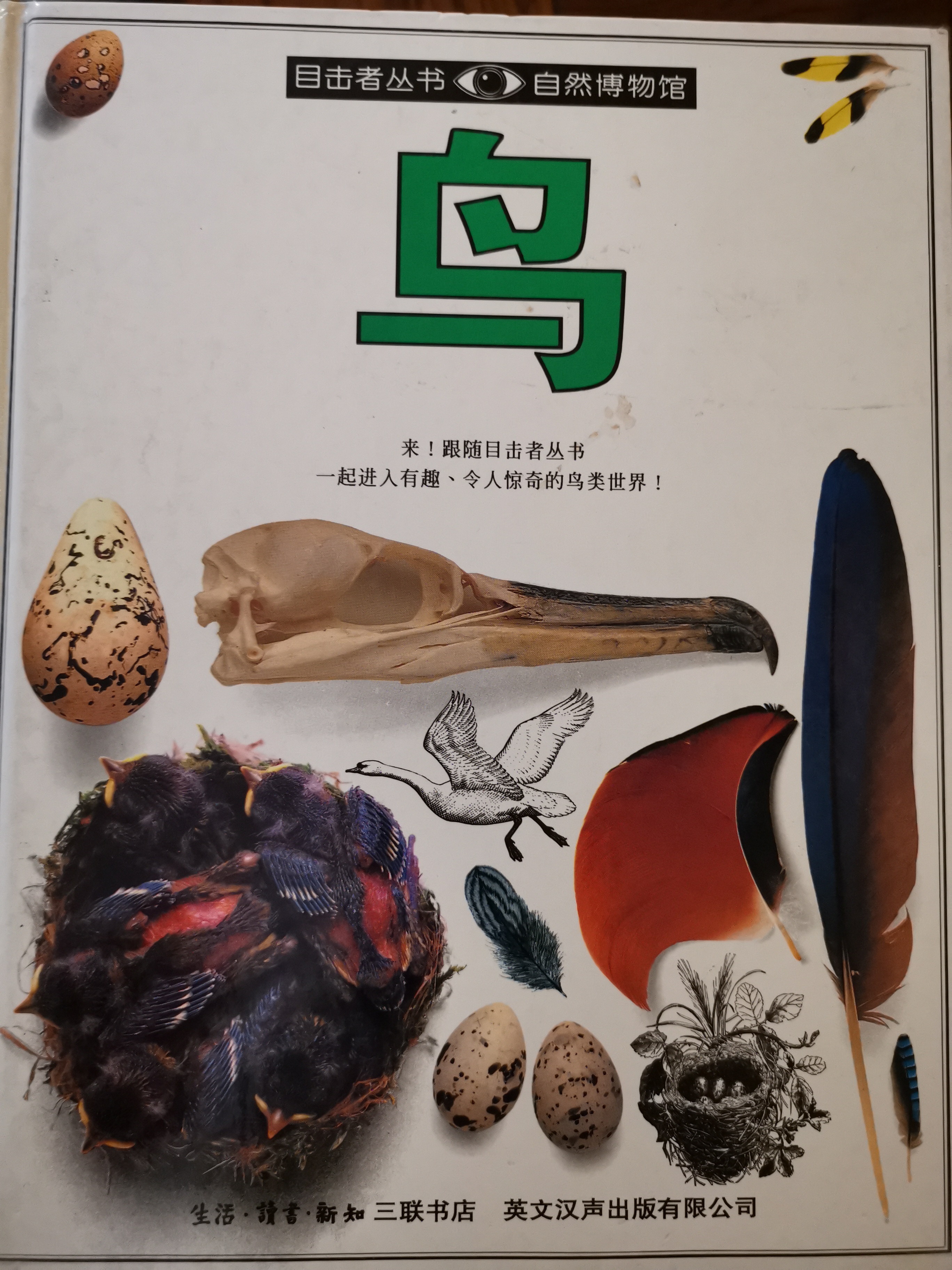 鳥目擊者叢書自然博物館