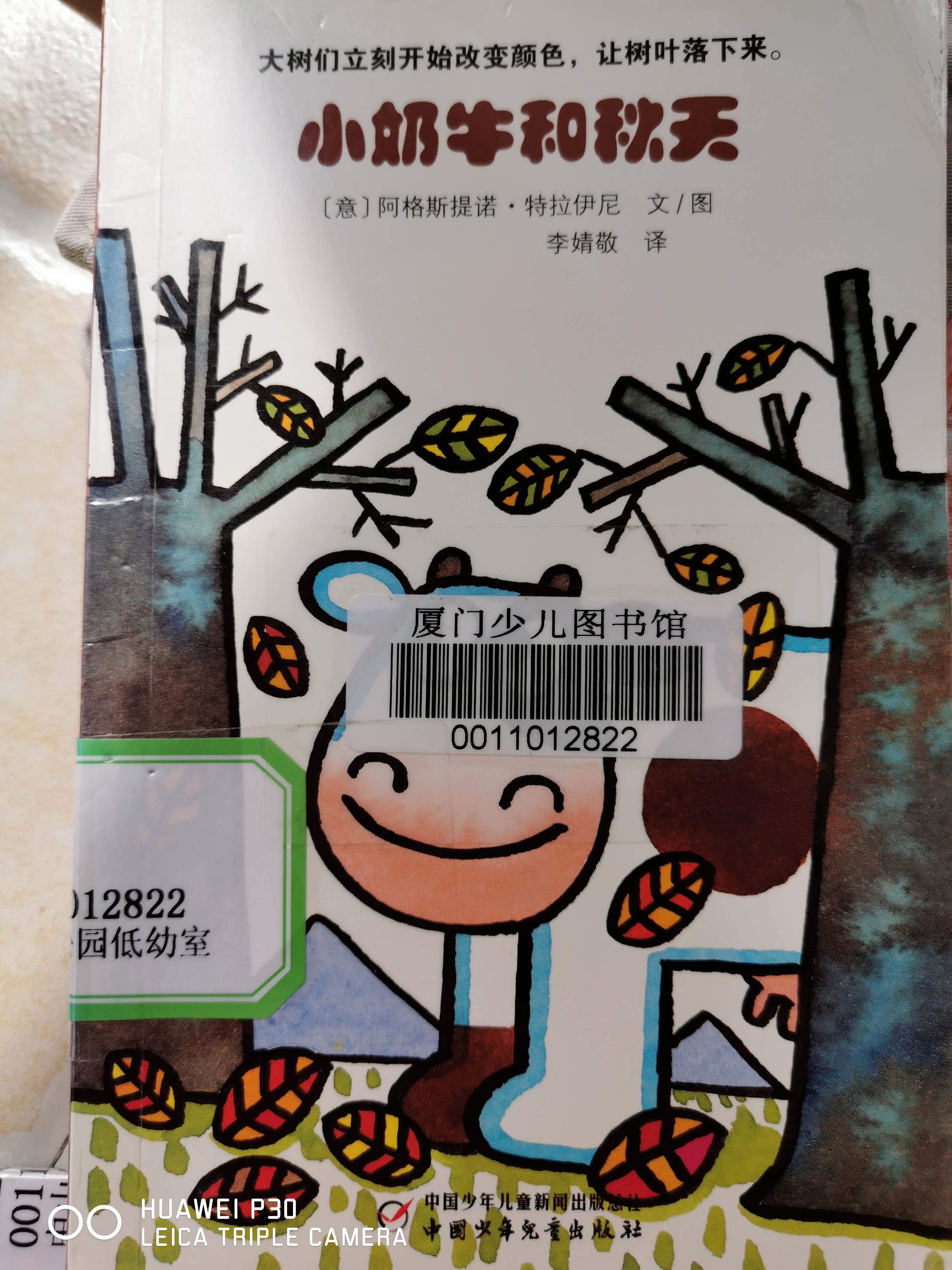 小奶牛和秋天