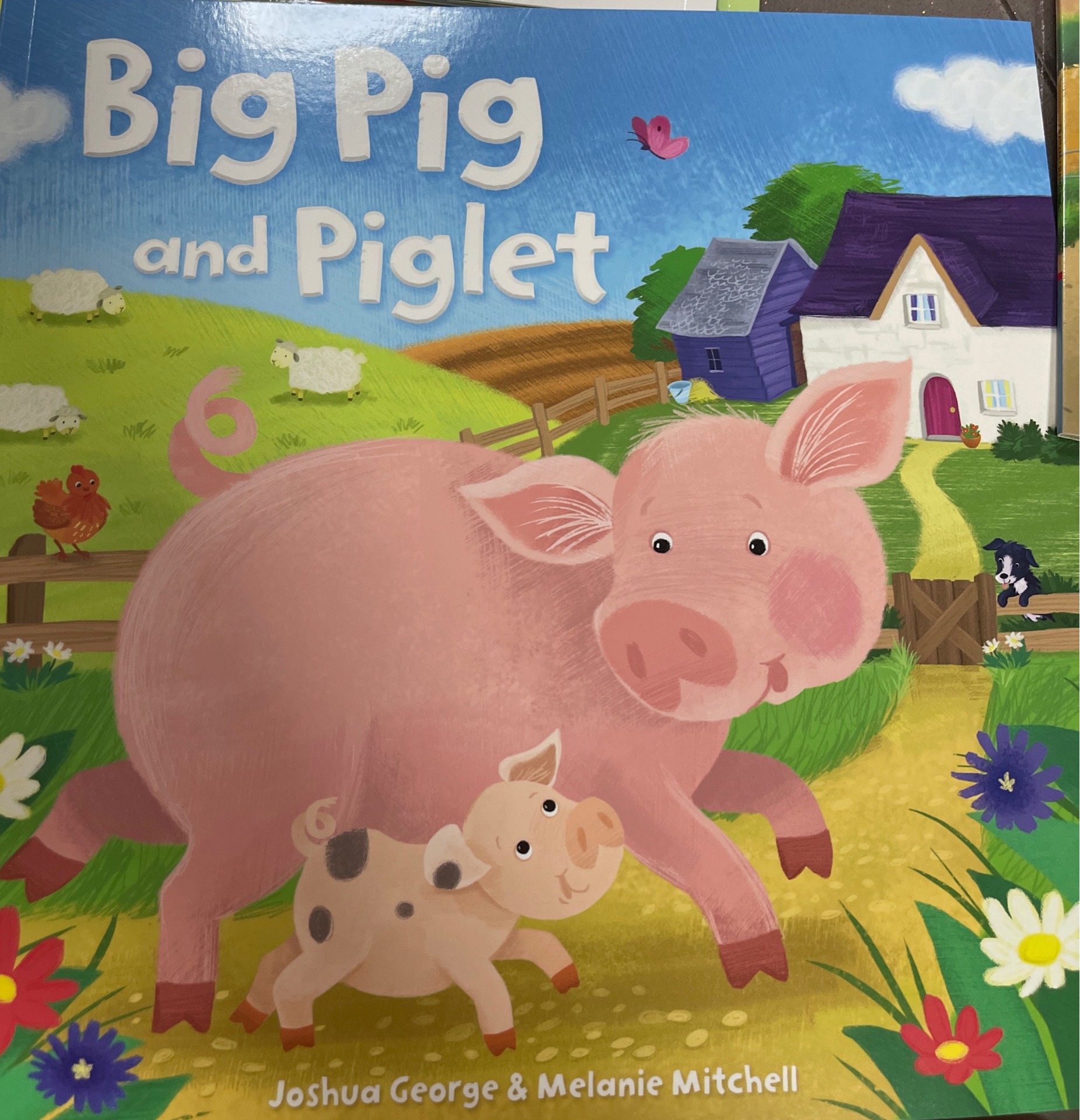 Big pig and piglet