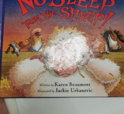No sleep for the sheep!