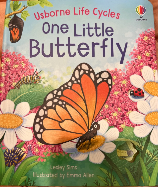 One Little Butterfly