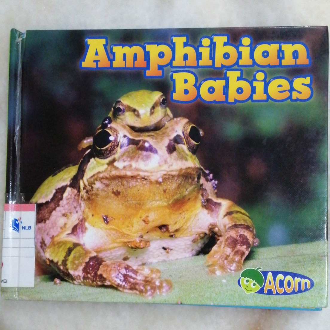 Amphibian Babies