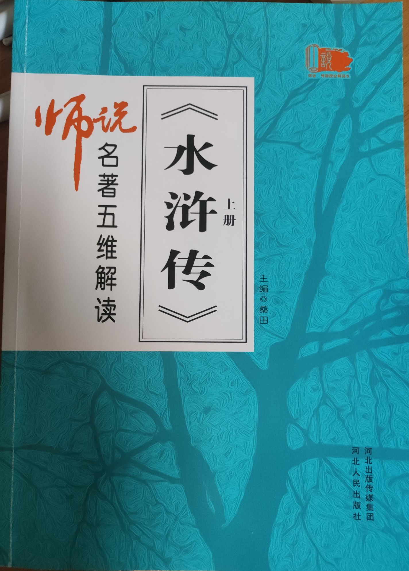 師說《水滸傳》