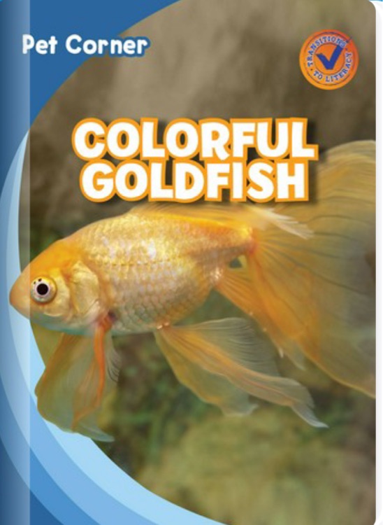 Colourful  Goldfish