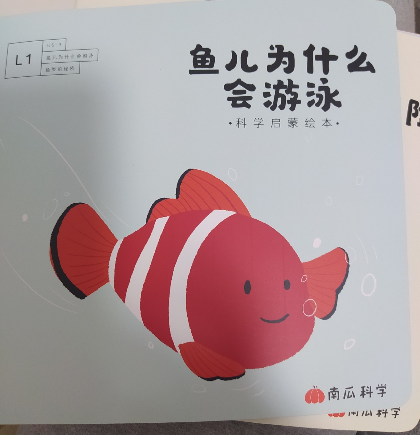 魚兒為什么會(huì)游泳