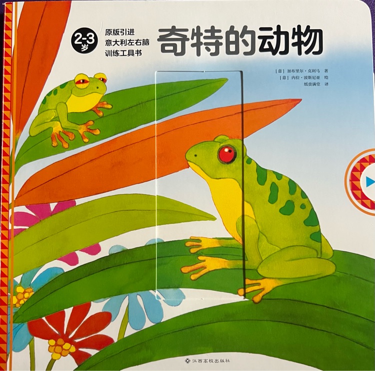 原版引進(jìn) 意大利左右腦訓(xùn)練工具書 奇特的動(dòng)物