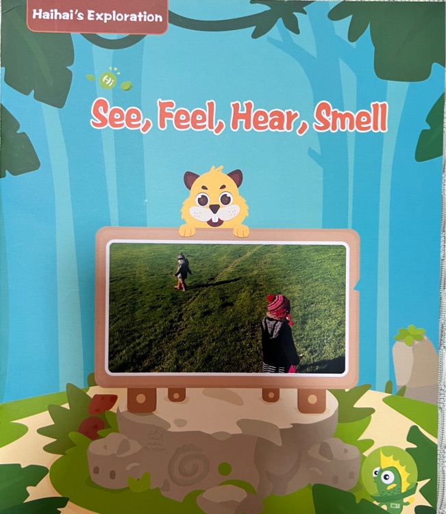 See,Feel,Hear,Smell