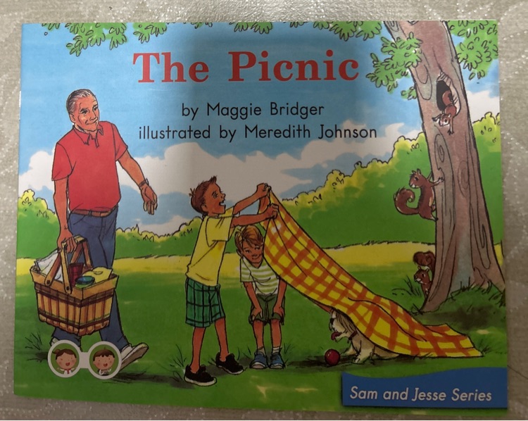 The picnic