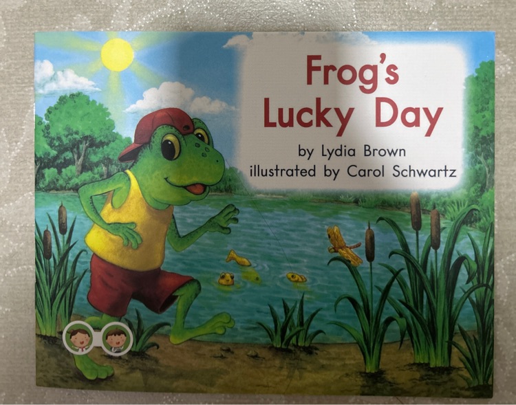 Frog's lucky day