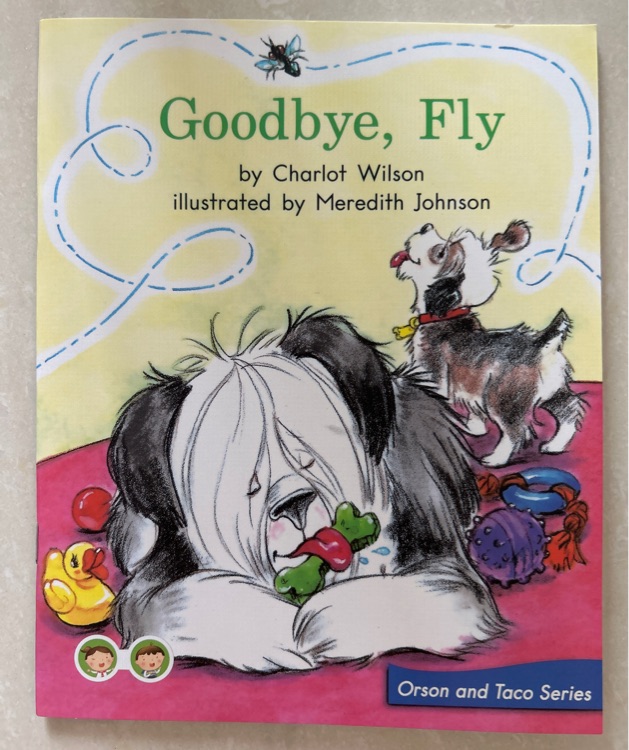 Goodbye,fly