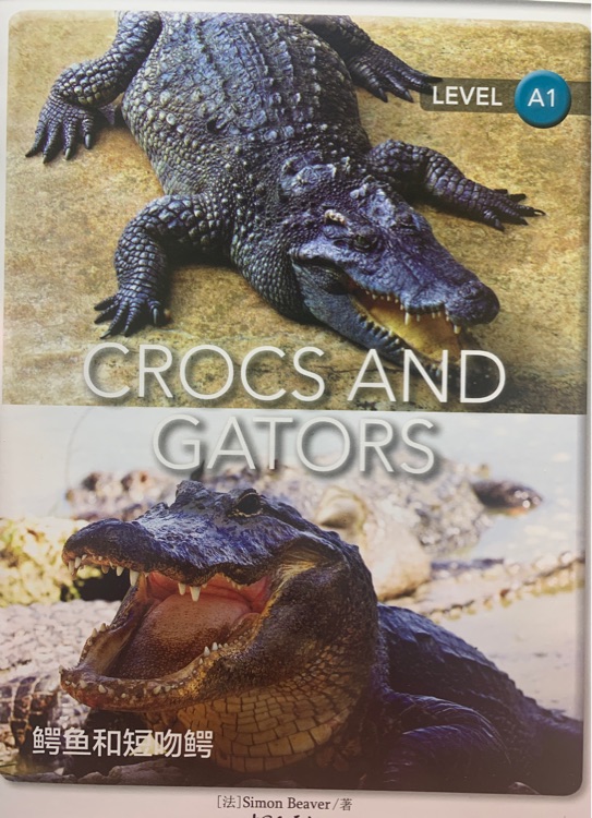 CROCS AND GATORS