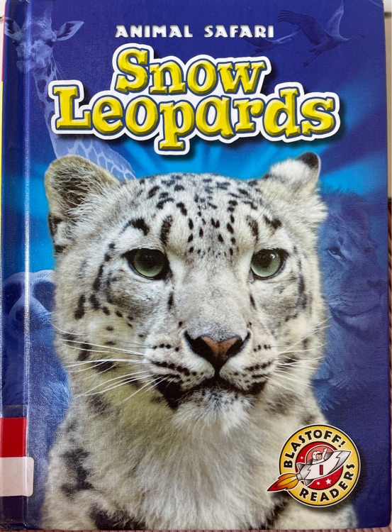 Snow Leopards