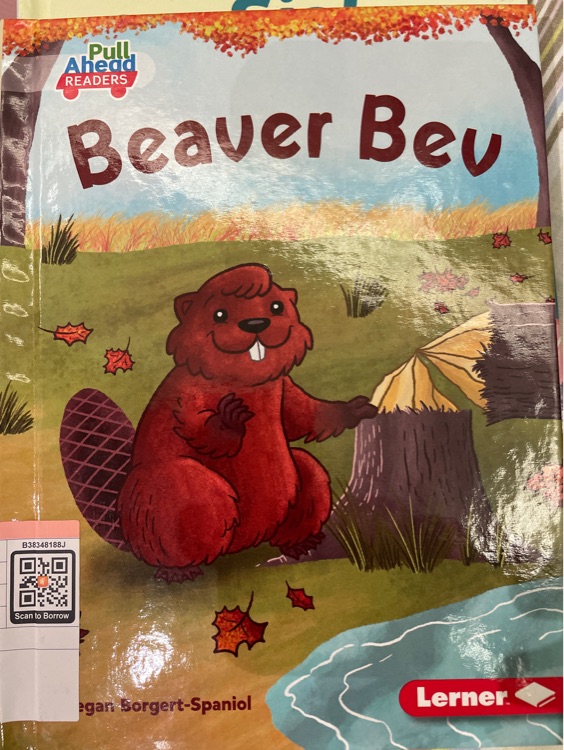 Beaver Bev